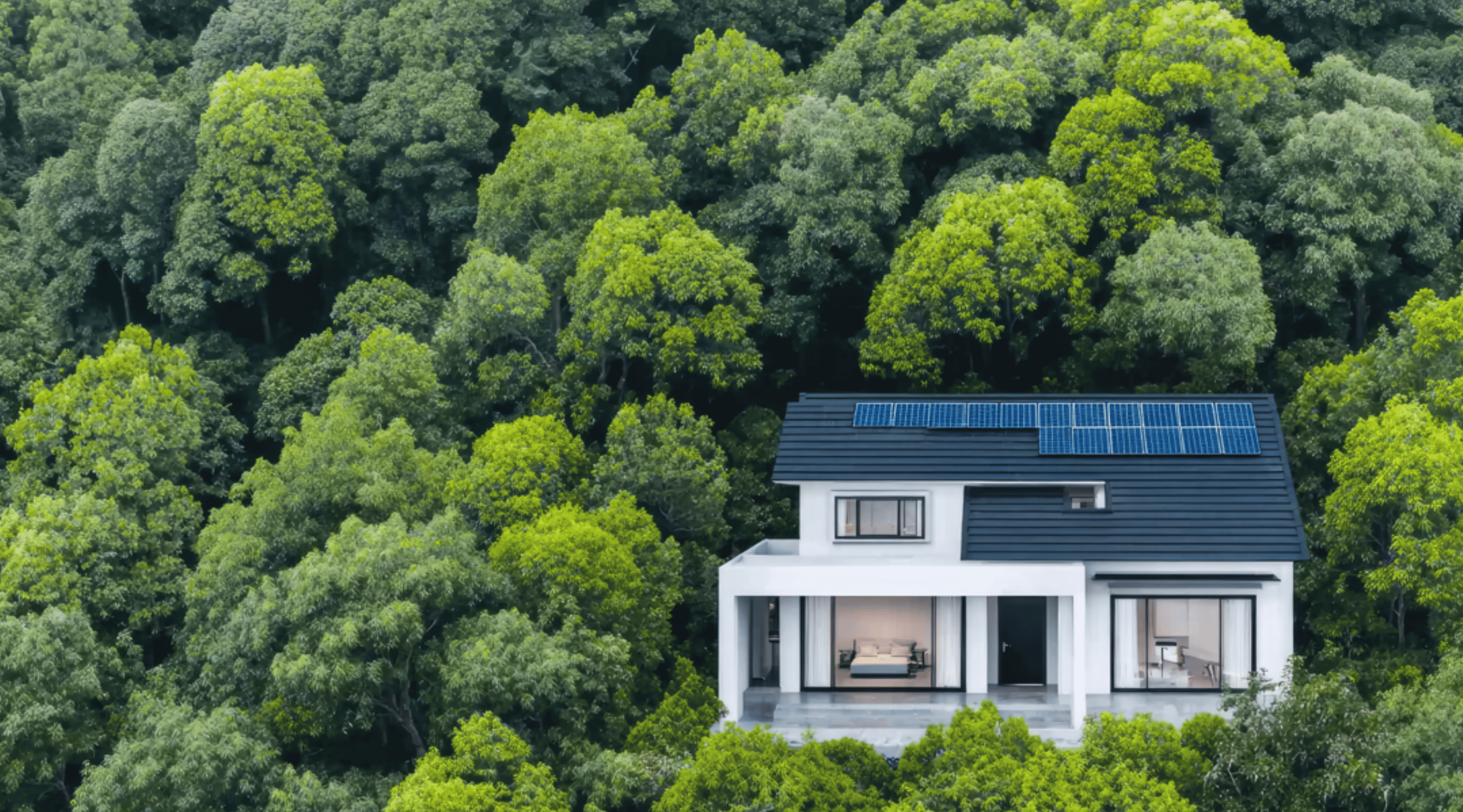 Maison dans la forêt